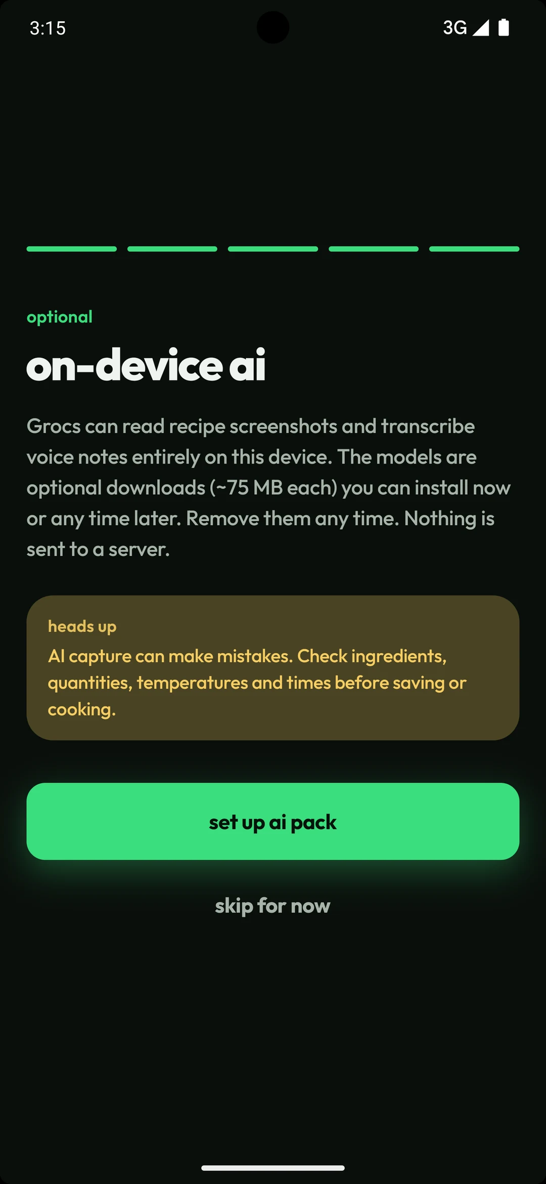Onboarding screen for optional on device AI models, around 75 MB each, installable now or later, with a heads up that AI capture can make mistakes.